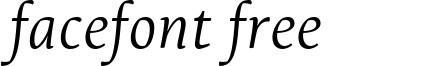 LeksaPro-LightItalic