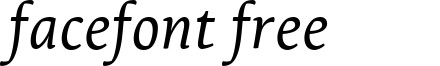 LeksaPro-Italic