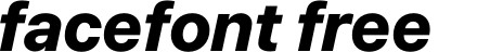 BlinkMacSystemFont-HeavyItalic