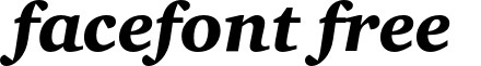 CharterBlackC-Italic