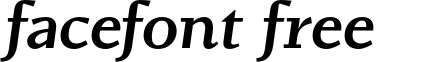 ConquerorSlab-MediumItalic