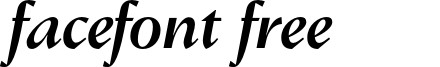 ConquerorText-MediumItalic
