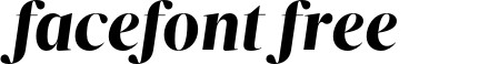VelinoDisplay-BlackItalic