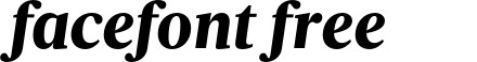 VelinoText-BlackItalic