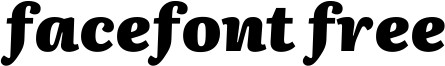 Literata-BlackItalic