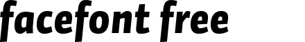 Auto1-BlackItalic