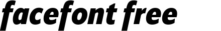 ApparatCond-BlackItalic