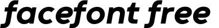 CodecWarmLogo-Italic