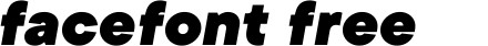 TTCommons-BlackItalic