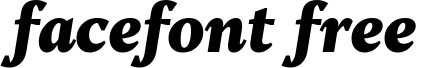 TTJenevers-BlackItalic