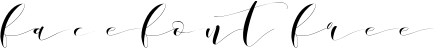 DonitaHandscript