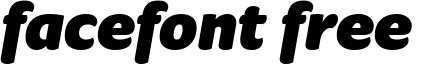 CondellBio-Black-Italic