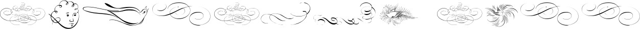 CalligraphiaLatinaSoftFour
