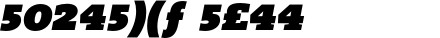 TheSerif-BlackItalicExp