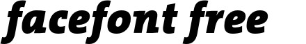 TheSerif-BlackItalic