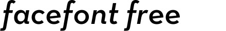 NeutraTextTF-DemiItalic