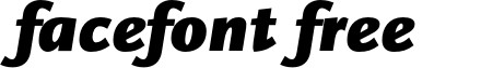 ScalaSansBlack-Italic