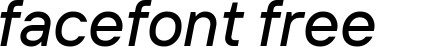 TTInterfaces-MediumItalic