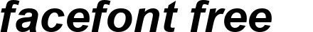 SLarialBoldItalic