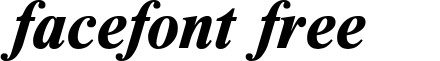 TTimesETBoldItalic